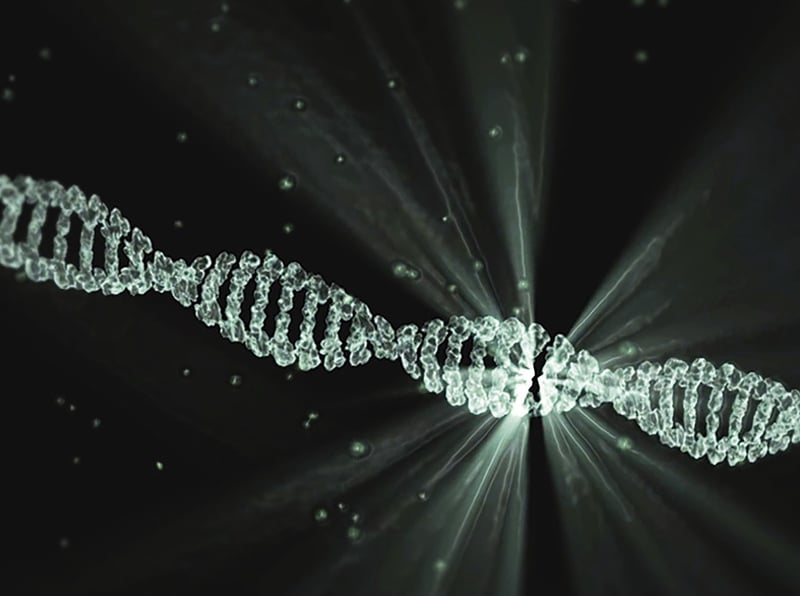Biomedical Research